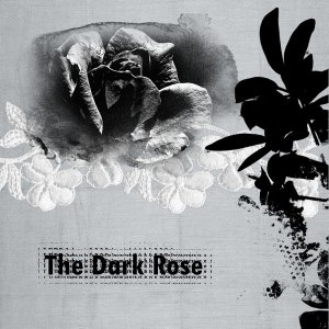 Anna Color - Dark Rose