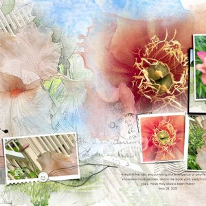 SALE ArtPlay Meadow Iris & Peony