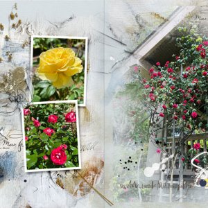ArtPlay MiniPalette Oiseau Roses