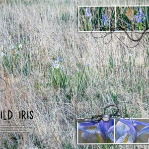 AnnaLift: Wild Iris