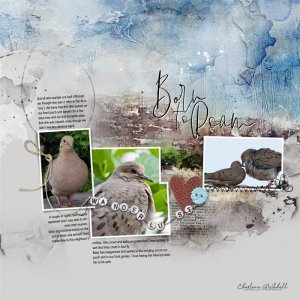 aA ArtPlay Lateritious Collection - Mourning Dove Rescue