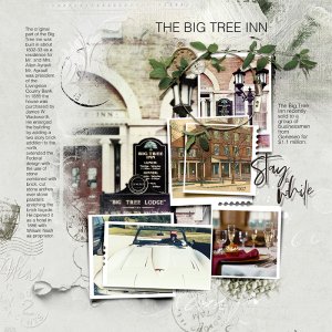 The Big Tree Inn