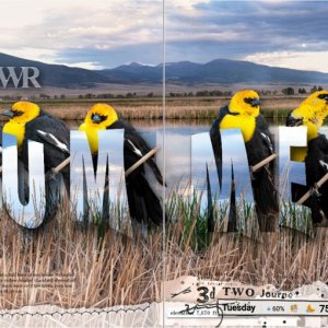 Challenge #6 MVNWR Summer
