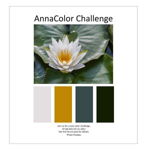 AnnaColor Challenge 07.08.2022 - 07.21.2022