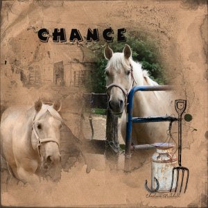 aA Watercolor Template Album/APPVeranda - Chance