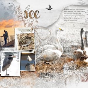 Travel 2022 Project Album - Birds pages 2 & 3