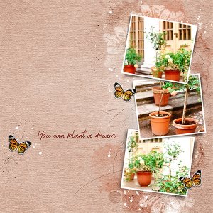 You can plant a dream . . .