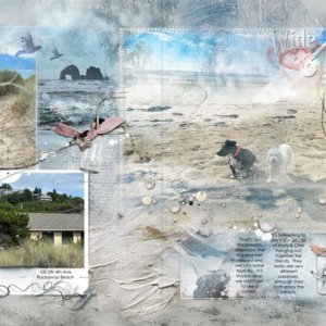 anna-aspnes-digital-art-fotoinspired-template-2Y Rockaway Beach Sun