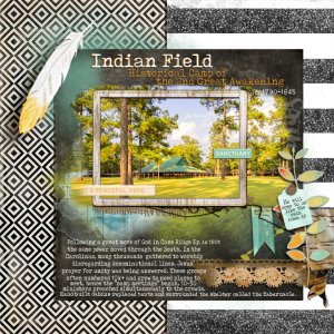 AnnaLift_Amazing Indian Field