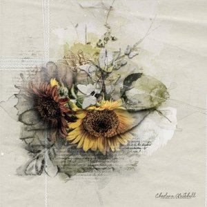aA ArtPlay Hinge - Sunflowers