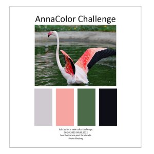 AnnaColor Challenge-20220826.jpg