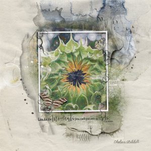 anna-aspnes-digital-art-artplay-collection-sonoma-Sunflower