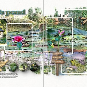 AnnaLift: Reed's Pond
