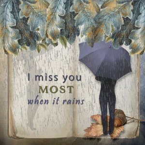 I Miss You Most When it Rains
