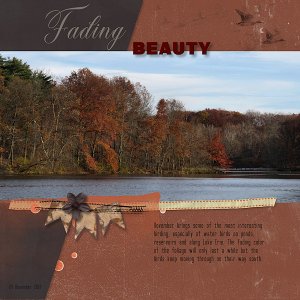 Fading Beauty