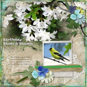 Birthday Birds & Blooms