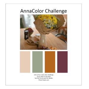 AnnaColor Challenge 10/21/22 - 11/03/22