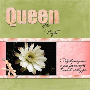 Queen of the Night