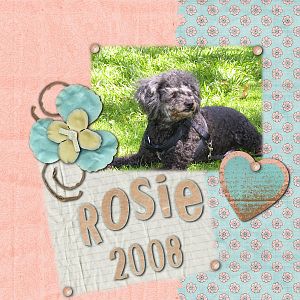 My Rosie