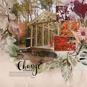 Change is Beautiful - Anna Color