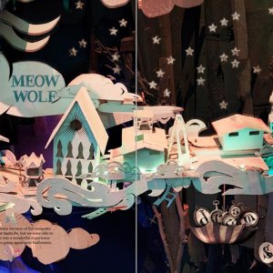 Challenge #1: Meow Wolf