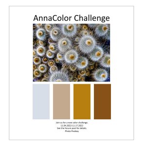 AnnaColor Challenge 11.04.2022 - 11.17.2022