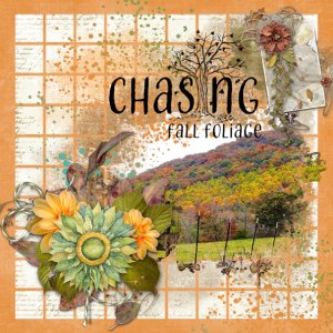 Chasing-Fall