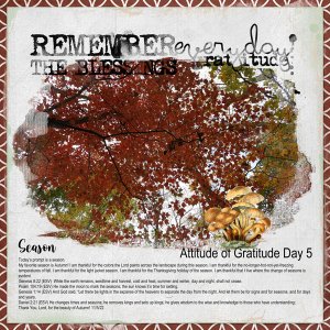 Attitude of Gratitude Day 5 - Season