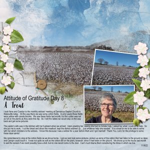 Attitude of Gratitude Day 8 - A Treat