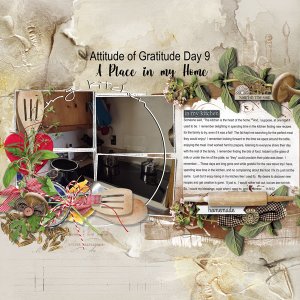 Attitude of Gratitude Day 9 - In My Kitchen