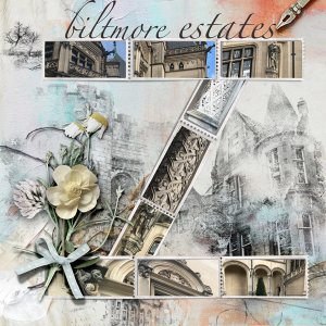 Biltmore-Estates