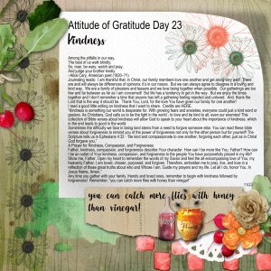Attitude of Gratitude Day 23 - Kindness
