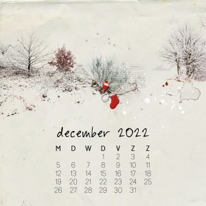 22-12-calendar-instagram-december