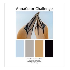 AnnaColor Challenge 12.02.2022 - 12.15.2022