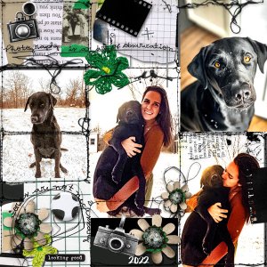 December Create a Layout-Members Challenge