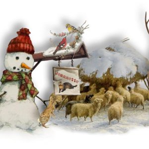 Siggy-Winter.jpg