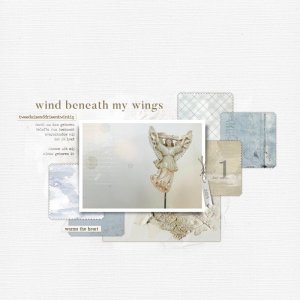 Wind beneath my wings