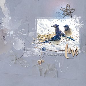 Blue Jays in the Snow - Aspera