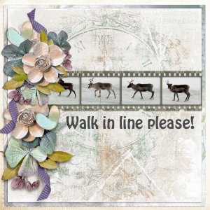 Walk-in-line-please.jpg