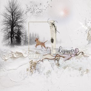 Live to Discover - Neige