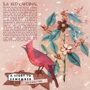 The Red Cardinal