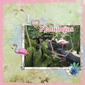 I <3 Flamingos