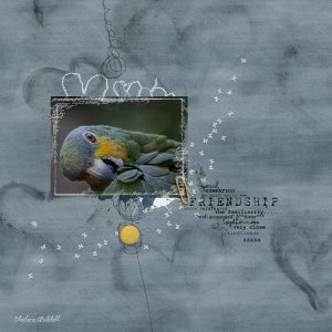anna-aspnes-digital-art-artplay-palette-loved-exoticbird
