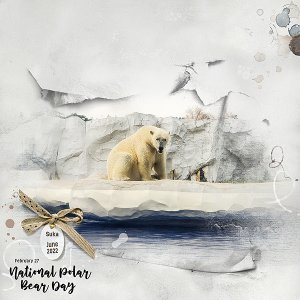 National Polar Bear Day - Anna Color