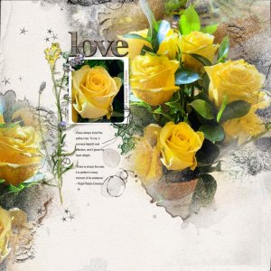 Love Yellow Roses