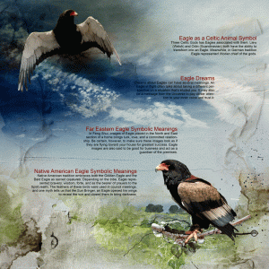 MARCH-2023-ART-JOURNAL-ZOOLOGY_SOARING-EAGLES