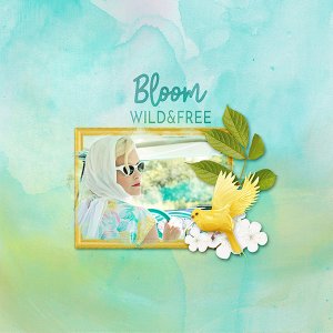 Bloom wild & free