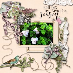 Palvinka Spring Breeze
