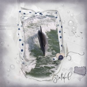 Dolphin Frame