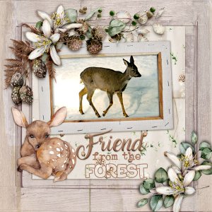 Friend-from-the-forest.jpg